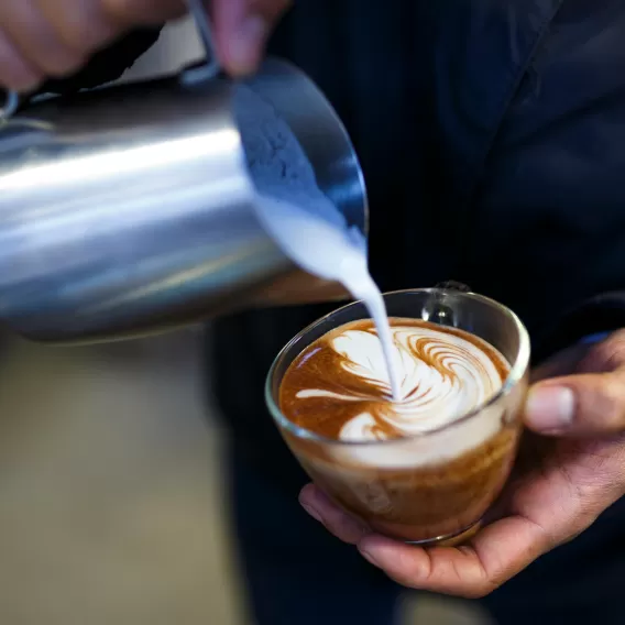 barista