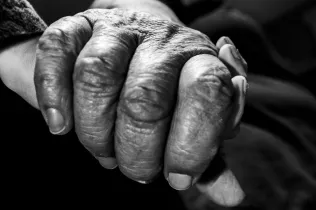 primerpremiabrilagustinanimis