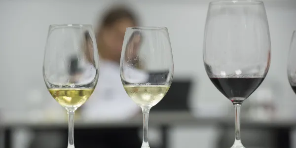 jesarriacesommelier1