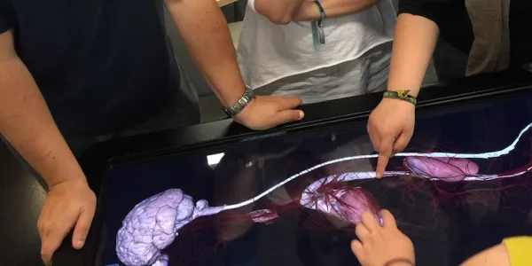 fotocabecera